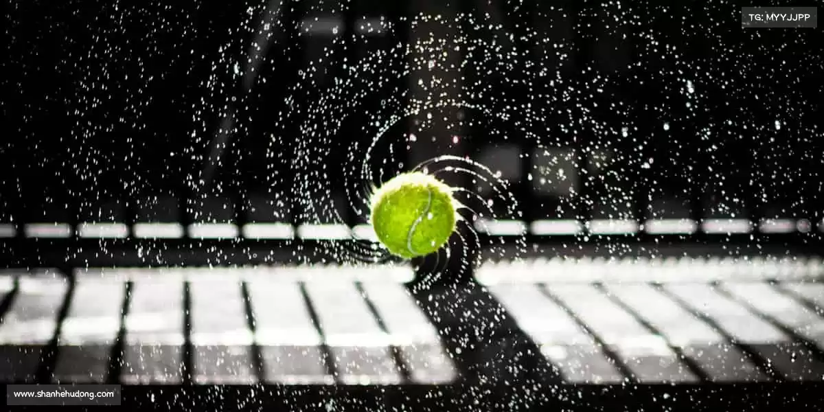 我们的品牌价值